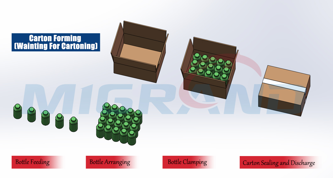 Esquema de embalaje de botella