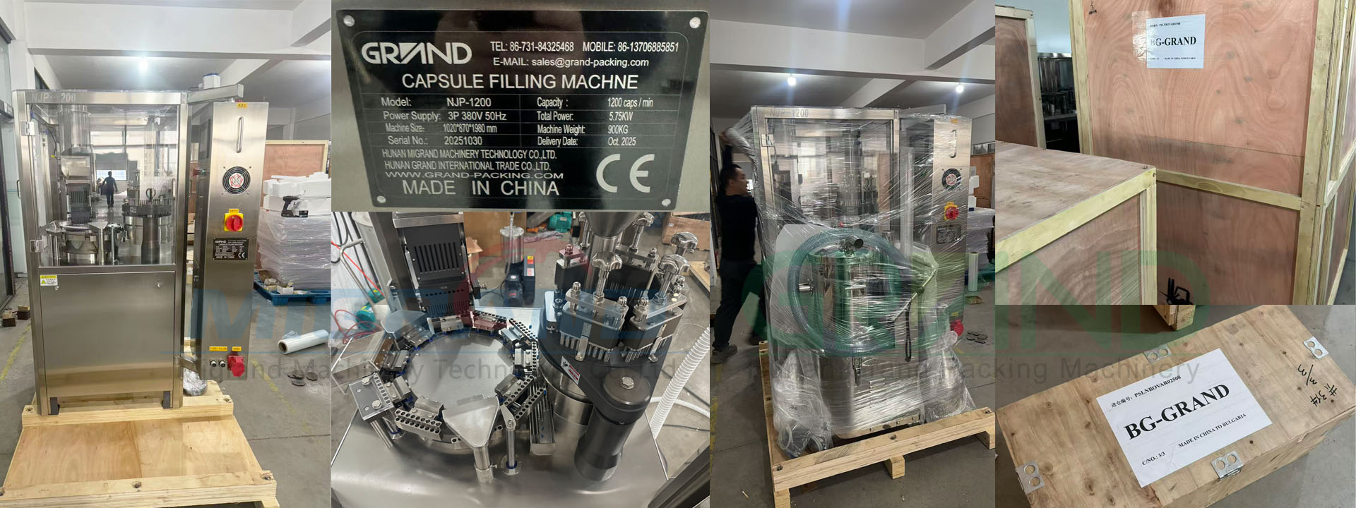 M&aacute;quina llenadora de c&aacute;psulas NJP-1200 en stock