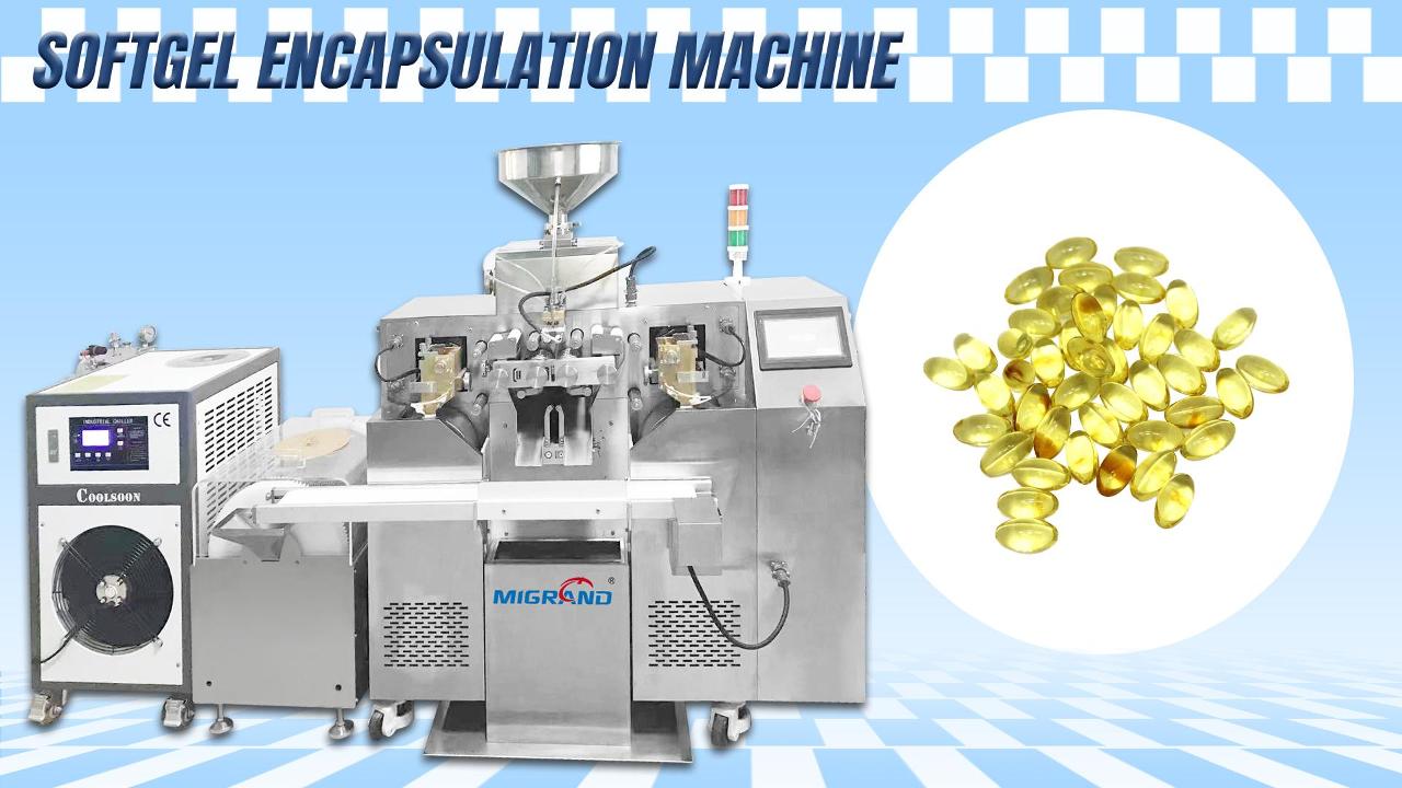 Exportar a la línea de producción de la cápsula de Softgel de Marruecos con 4 conjuntos de moho