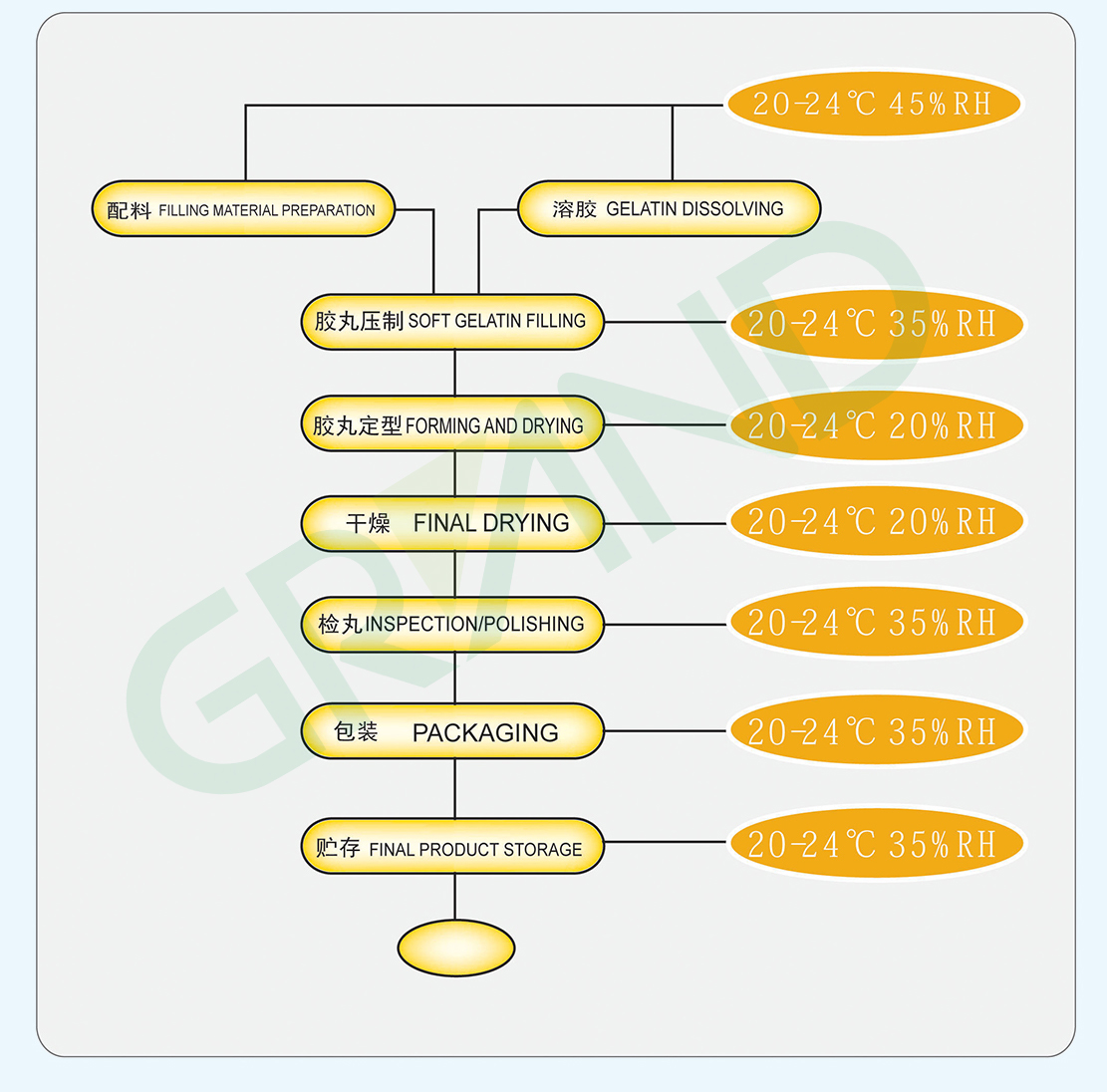 Proceso de m&aacute;quina de encapsulaci&oacute;n Softgel